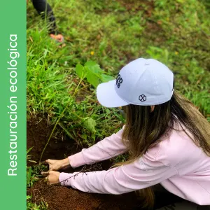 Restauración ecológica
